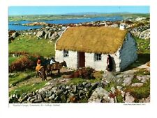 Ireland connemara thatched for sale  BELPER