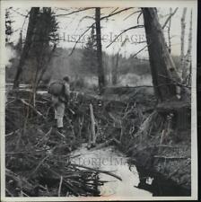 Foto de prensa 1968 cazador sube sobre la presa Beaver en el condado de Oneida en el invierno segunda mano  Embacar hacia Argentina