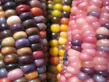Colorful corn glass for sale  Shipping to Ireland