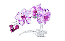 Swarovski 5520373 orchidea usato  Marino