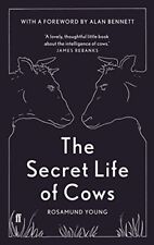 Secret life cows for sale  UK