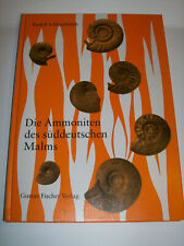 Die Ammoniten des süddeutschen Malms von Rudolf Schlegelmilch (1994) 1. Auflage, używany na sprzedaż  Wysyłka do Poland