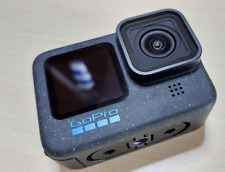 Gopro hero black gebraucht kaufen  Oberaudorf