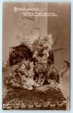 Rppc cats kittens for sale  Foresthill