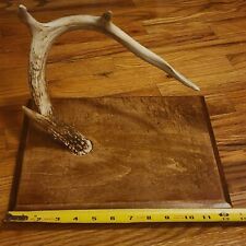 Genuine real whitetail for sale  Clearfield
