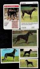 Different vintage doberman for sale  Shipping to Ireland