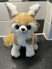 Aurora miyoni fennec for sale  BRISTOL