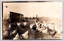 Real Photo Postcard~White & Black Chickens~Barnyard Hen House~Coop~c1910 RPPC for sale  Shipping to South Africa