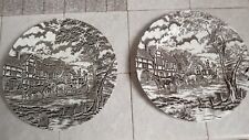 Vintage staffordshire ironston for sale  LAMPETER