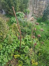 Rusty metal garden for sale  NEWHAVEN