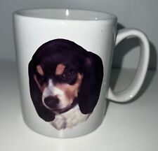 Beagle puppy dog for sale  Concord