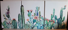 Set cactus succulents for sale  Farmersville