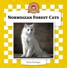 Norwegian forest cats for sale  UK