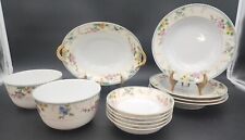 Noritake amerita oval for sale  Broomfield