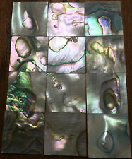 28.5 grams abalone for sale  Bowling Green
