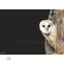 Barn owl original for sale  LINCOLN