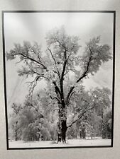 Ansel adams matted for sale  Skillman