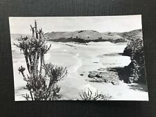 Vintage Postcard The Bungalows Umngazi River Mouth Transkei South Africa  for sale  Shipping to South Africa