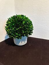 Boxwood ball topiary for sale  Melbourne