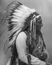 Sitting bull native for sale  USA
