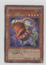 2008 Yu-Gi-Oh! Crossroads of Chaos 1st Edition Gigantic Cephalotus 3c7, used for sale  Shipping to South Africa