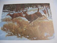 Wildlife prints fredrick for sale  Fort Collins