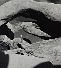 Andre dienes photo for sale  San Diego