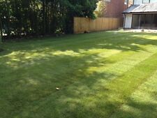 Premium quality turf for sale  WEST MOLESEY