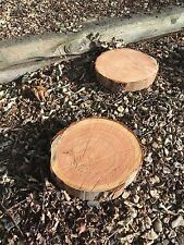 2  x 12" log garden stepping stones rustic wood logs ideal for garden for sale  WORCESTER