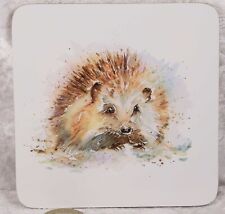 Unbranded featuring hedgehog for sale  CAMELFORD