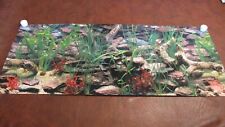 Aquarium background planted for sale  Marble Falls