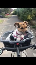 Pet dog bicycle for sale  OXFORD