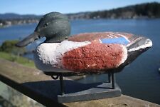 Shoveler drake decoy for sale  Lincoln City