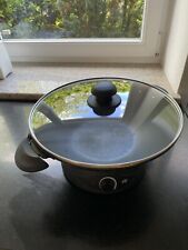 Fif elektro wok gebraucht kaufen  Ainring