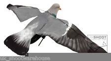 Sillosocks pigeon hypa for sale  NUNEATON