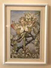 Flower fairies framed for sale  WIGAN