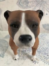 Staffordshire bull terrier for sale  CRAWLEY