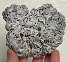 Natural holey hag for sale  USA
