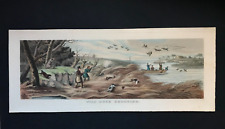 Antique engraving wild for sale  BARNSTAPLE