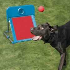 Dog flyball set for sale  LEICESTER