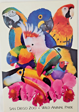 Colorful exotic birds for sale  Saint Louis