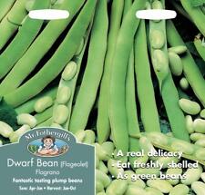 Dwarf french bean for sale  NEWMARKET