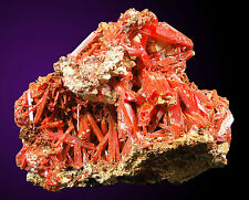 CROCOITE MINERAL SPECIMEN AUSTRALIA COLLECTABLE, used for sale  Shipping to South Africa