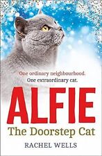 Alfie doorstep cat for sale  UK
