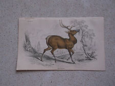 Wapiti print lithograph for sale  BLAIRGOWRIE