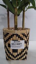 60cm bamboo black for sale  KIRKCALDY