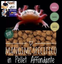 Mangime cibo axolotl usato  Italia
