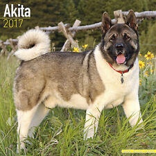 Calendrier 2017 akita d'occasion  Troyes