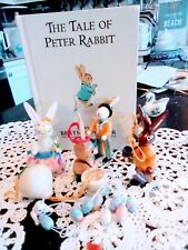 Tale peter rabbit for sale  Johnston