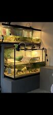 Aquarium fish tank for sale  PETERBOROUGH